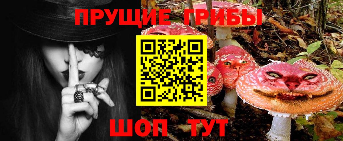 наркотики  Псилоцибиновые грибы Psilocybe  Галлюциногенные грибы Psilocybine cubensis  Вход с VPN  Учалы 