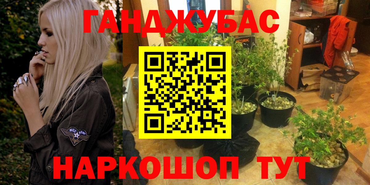 Каннабис план Учалы